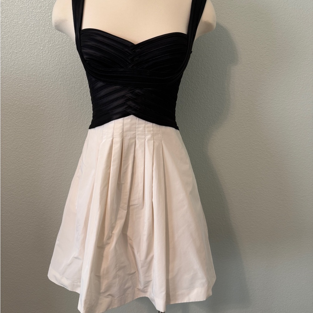 BCBGMaxAzria Striped Black and White‎ Mini Dress